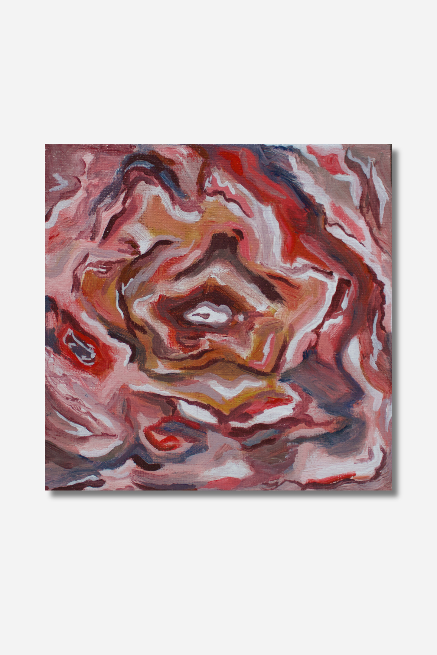 Antrum Roseum | Original